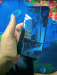 Tecno pova ld7
